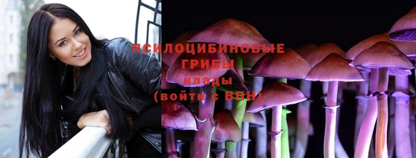 эйфоретик Алексеевка