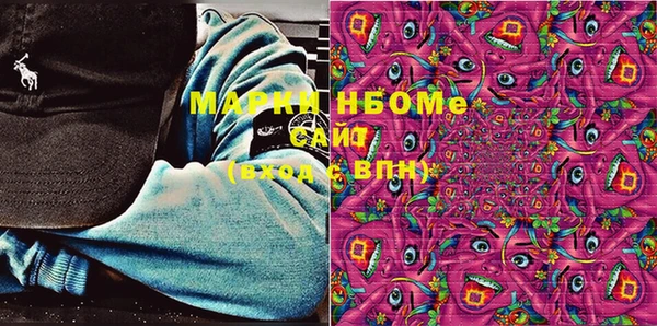 гашик Алексин