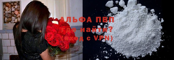 гашик Алексин