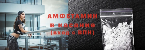 гашик Алексин